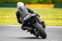 Middle Group Black Bikes